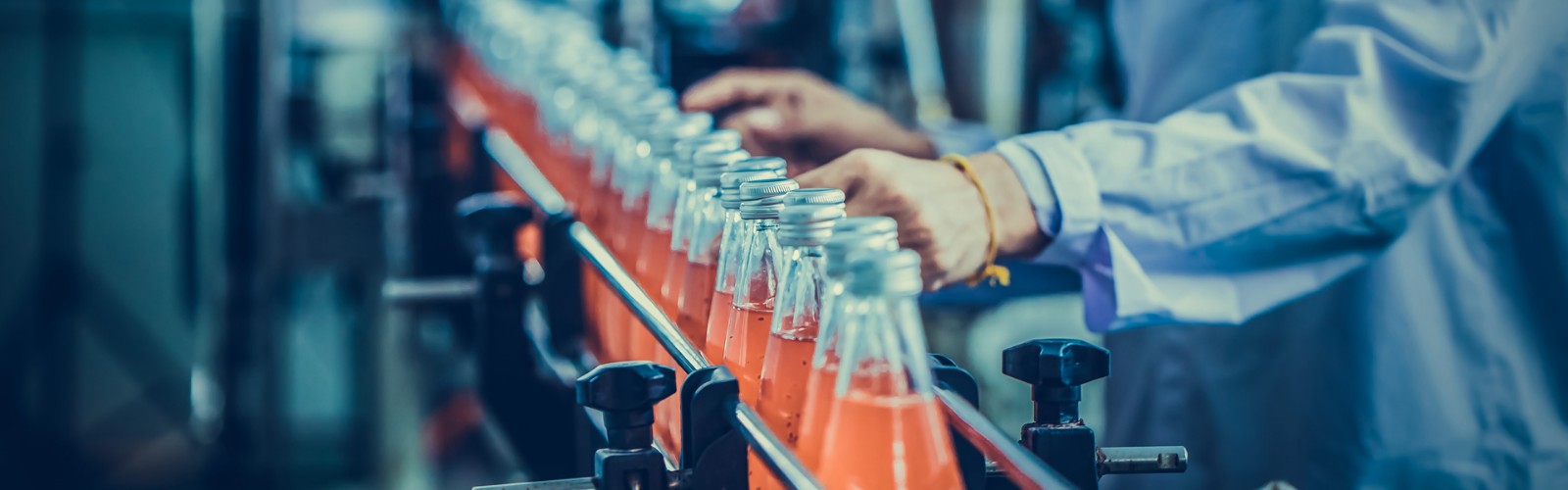 Food and Beverage industry reference