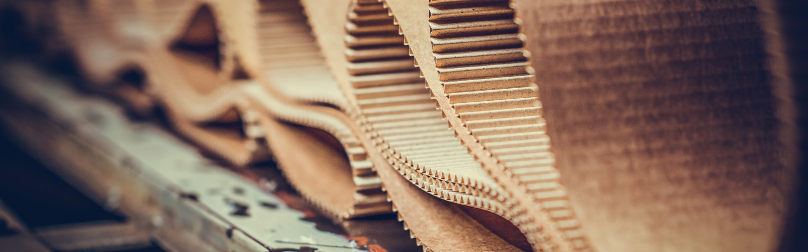 Corrugated Packaging and Glue industry reference